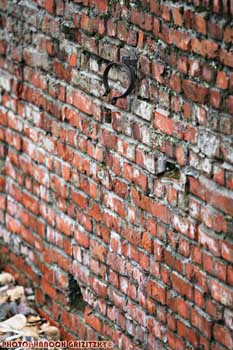 IMG_ (11596)